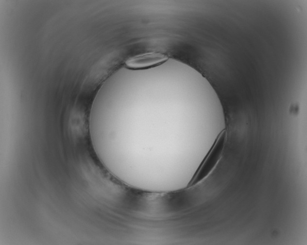 X0000113220136200910011355