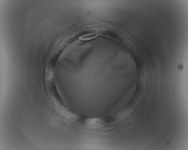 X0000113220137200910011355