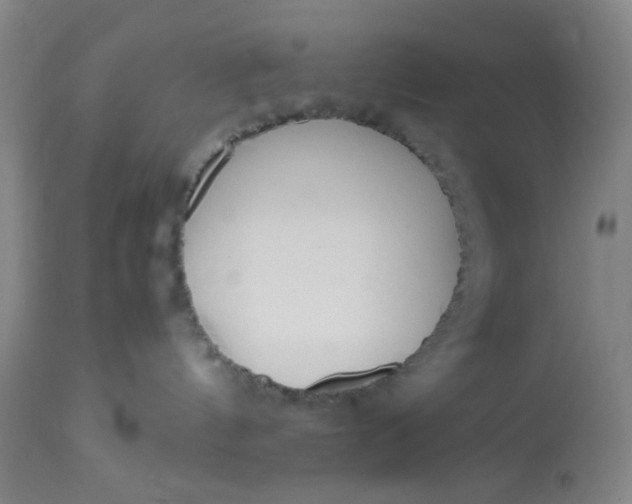X0000113220144200910011355