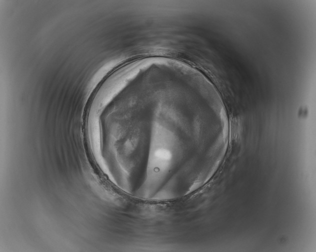 X0000113220147200910011354