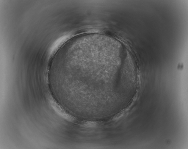 X0000113220149200910011354