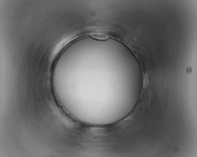 X0000113220150200910011354