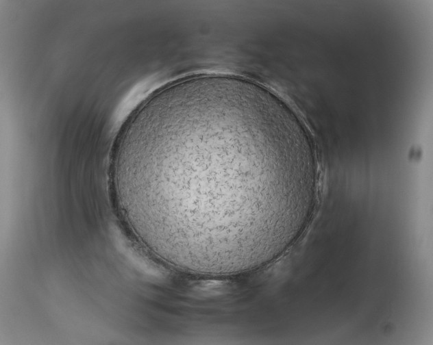X0000113220151200910011354