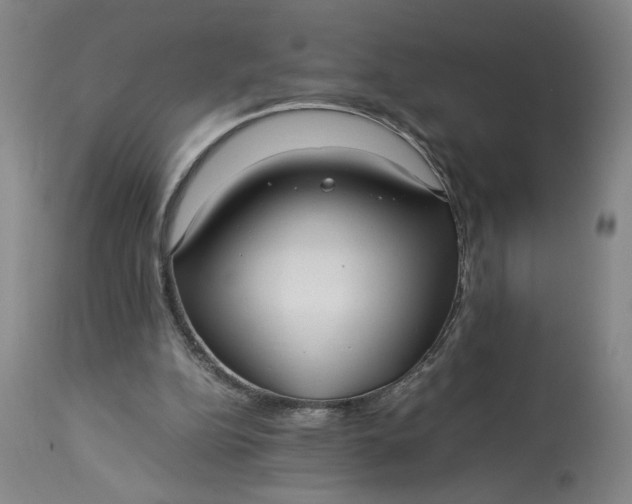 X0000113220152200910011354