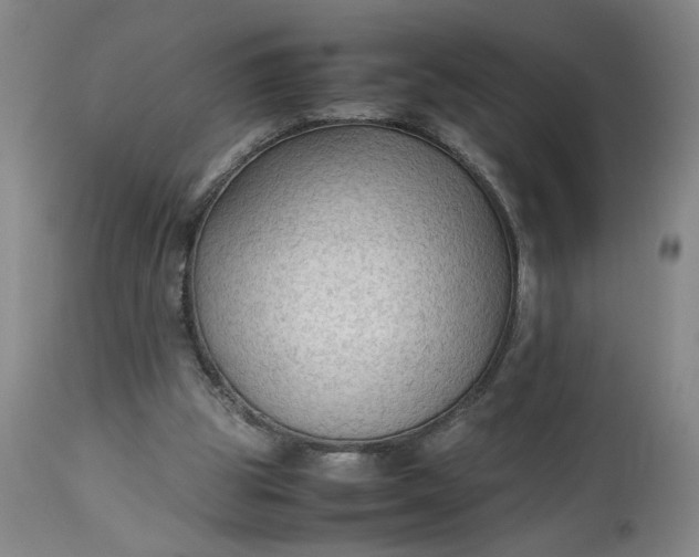 X0000113220153200910011354
