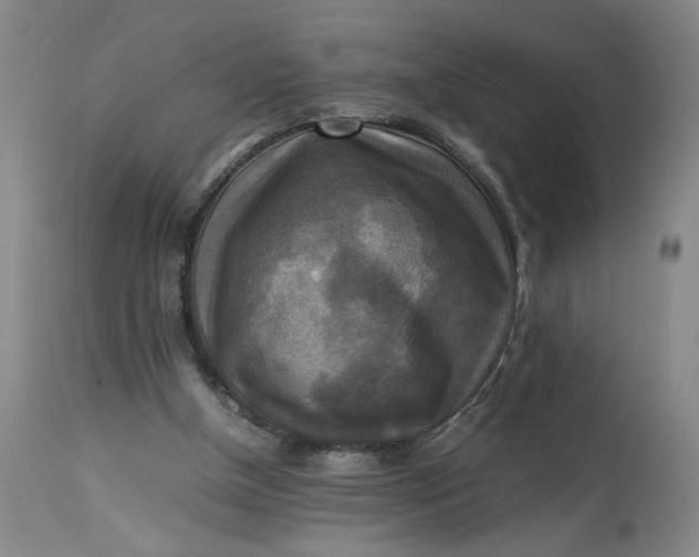 X0000113220154200910011354