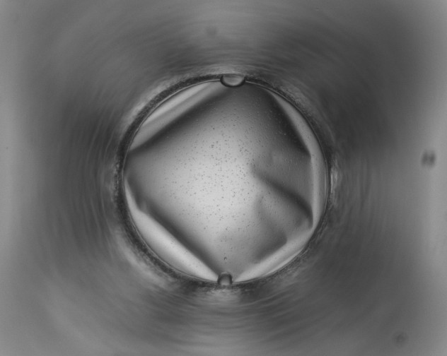 X0000113220156200910011354