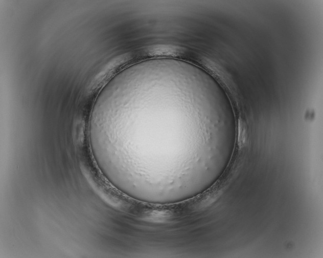X0000113220157200910011354