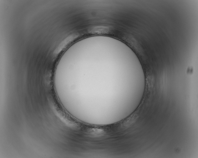X0000113220159200910011354