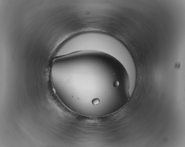 X0000113220160200910011354