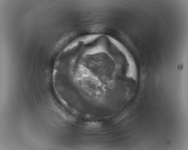 X0000113220161200910011354