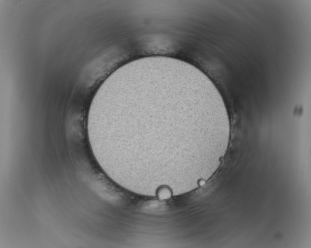 X0000113220162200910011354