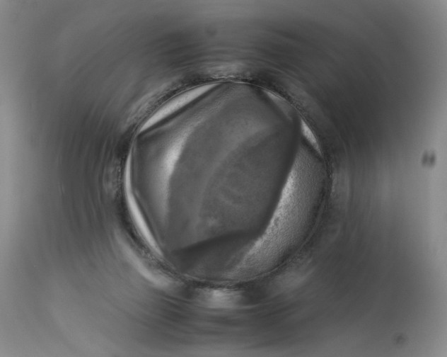 X0000113220165200910011354