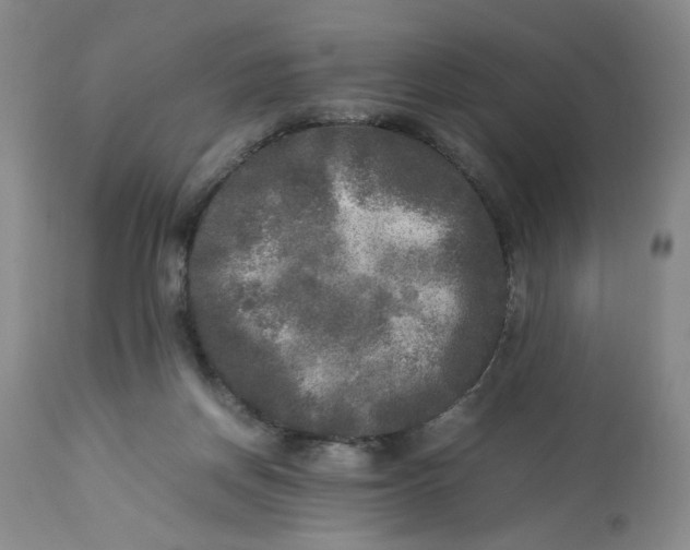 X0000113220166200910011354