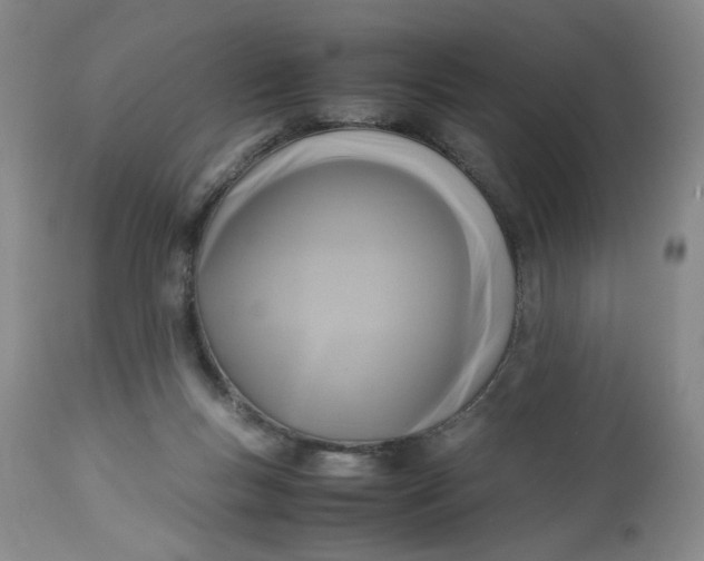 X0000113220167200910011354