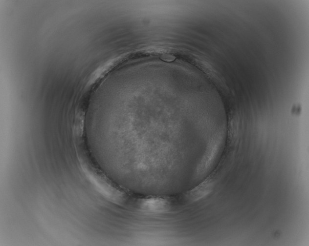 X0000113220168200910011354