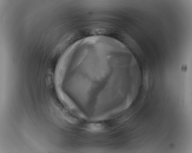 X0000113220169200910011354