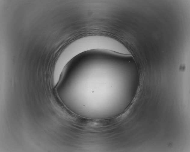 X0000113220174200910011354