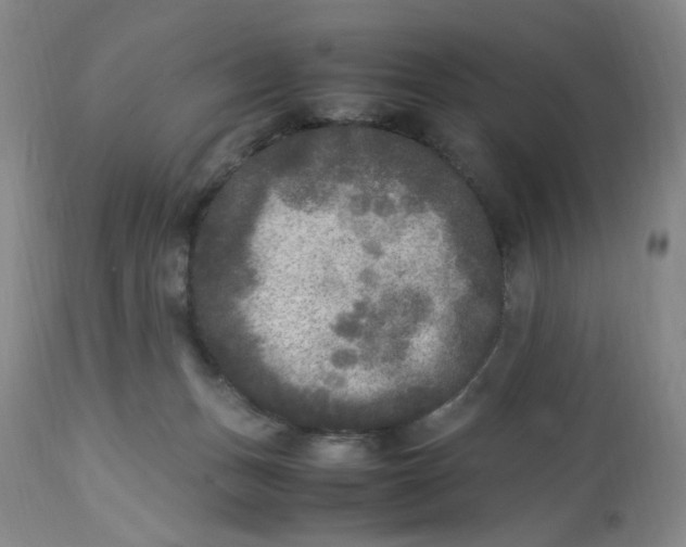 X0000113220175200910011354