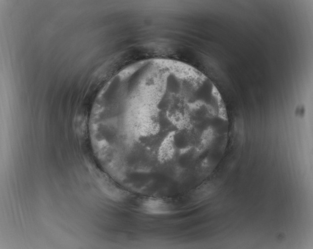 X0000113220177200910011354