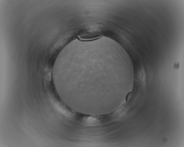 X0000113220180200910011354