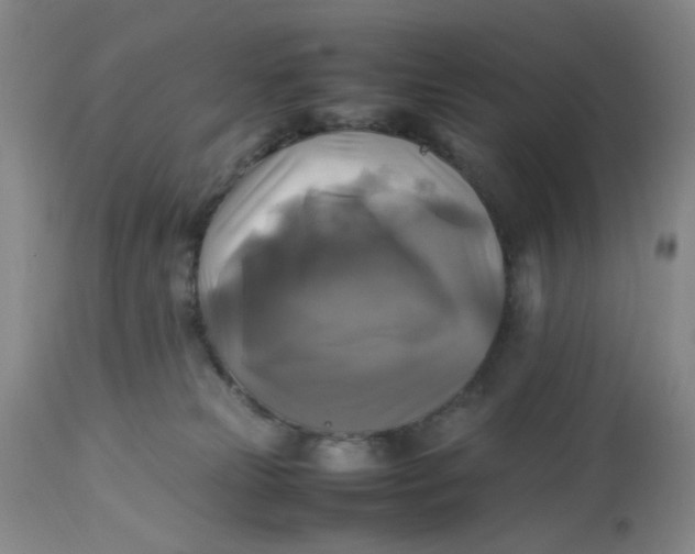 X0000113220181200910011354