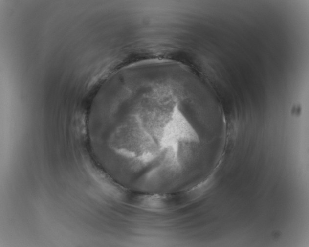 X0000113220182200910011354