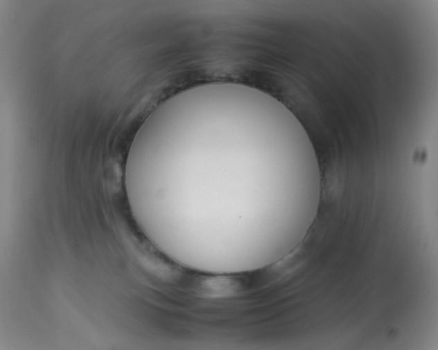 X0000113220183200910011354