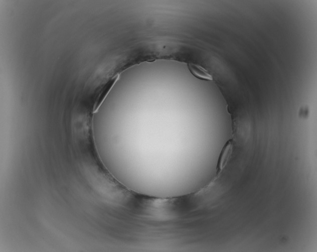 X0000113220184200910011354