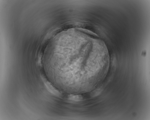 X0000113220185200910011354