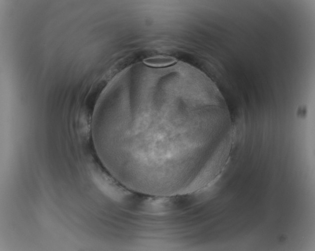 X0000113220186200910011354