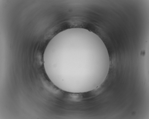 X0000113220187200910011354