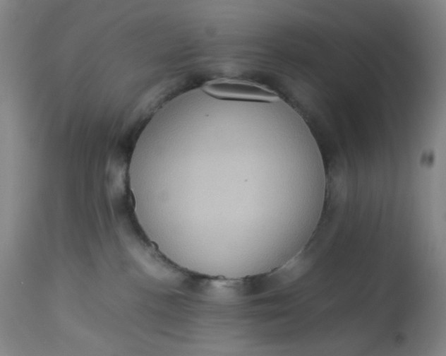X0000113220188200910011354