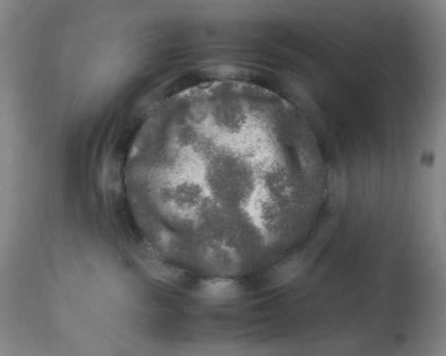 X0000113220189200910011354
