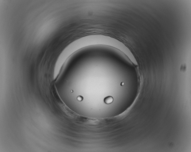 X0000113220190200910011354