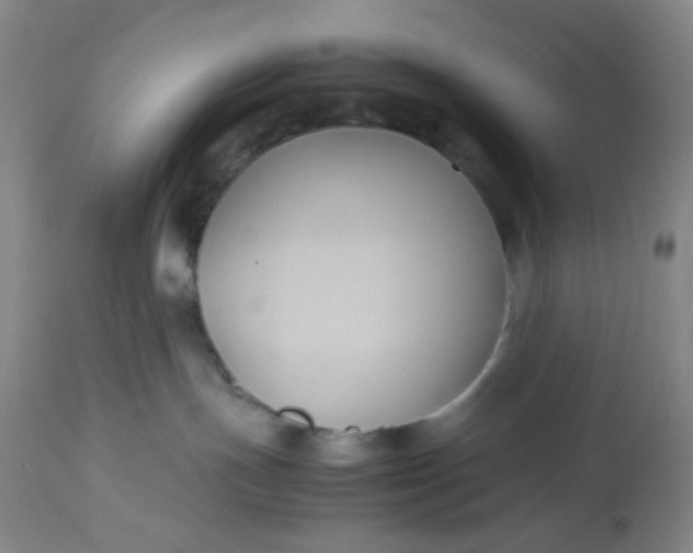 X0000113220191200910011354