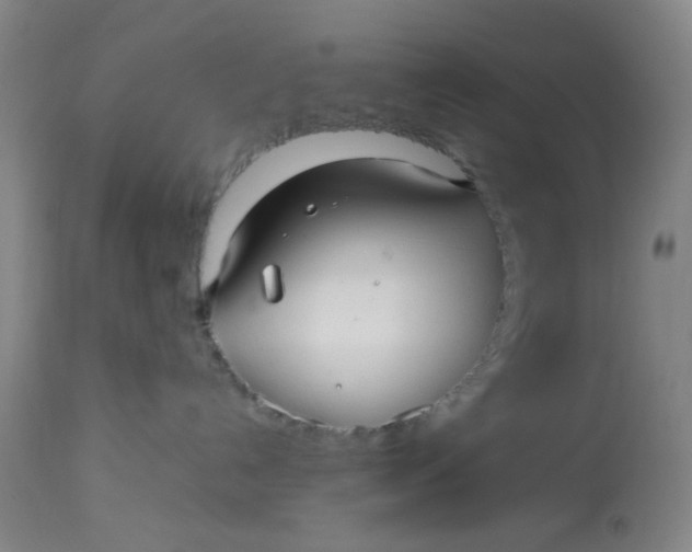 X0000113220192200910011354