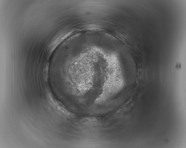 X0000113220194200910011354