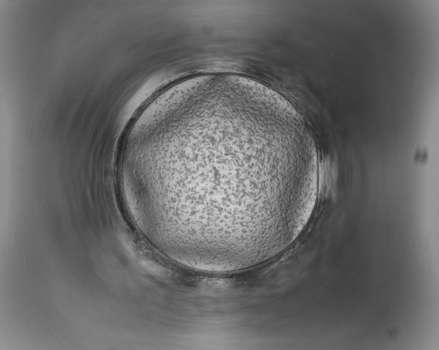 X0000113220195200910011354