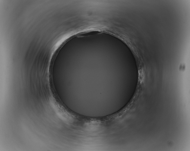 X0000113220196200910011354