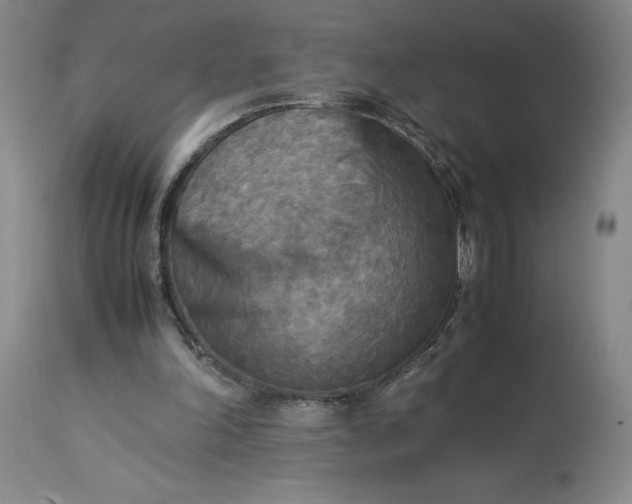 X0000113220198200910011353