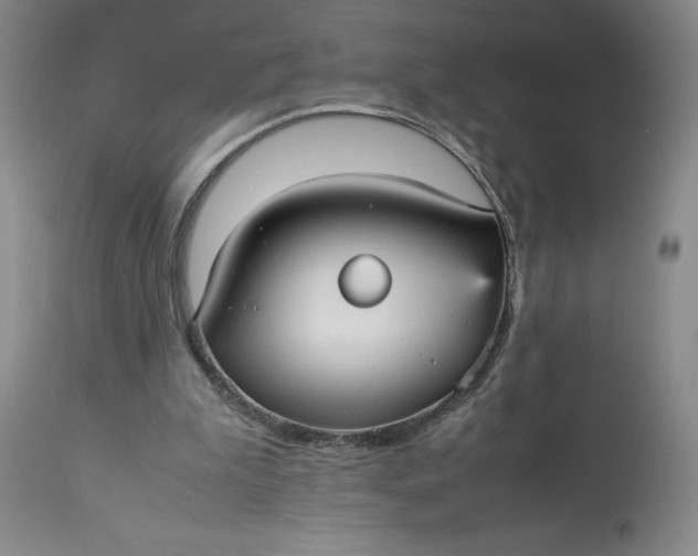 X0000113220199200910011353