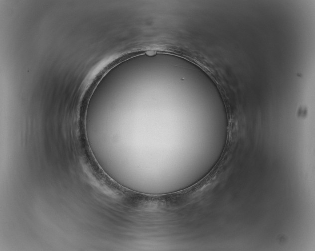 X0000113220200200910011353