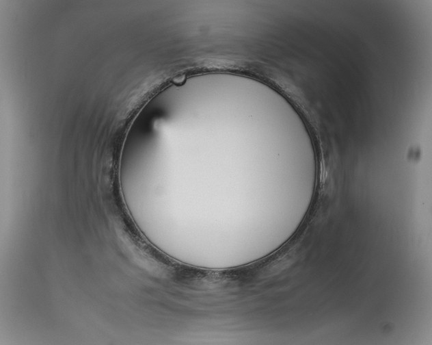 X0000113220201200910011353