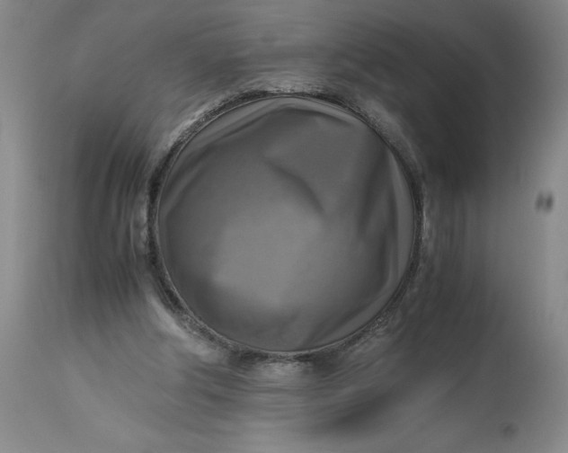 X0000113220202200910011353