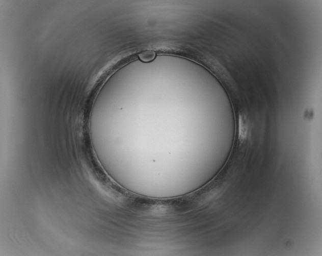 X0000113220204200910011353