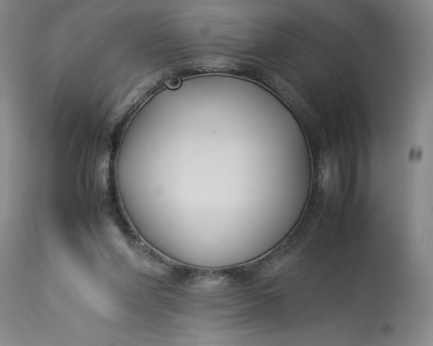 X0000113220206200910011353