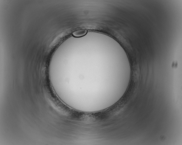 X0000113220207200910011353