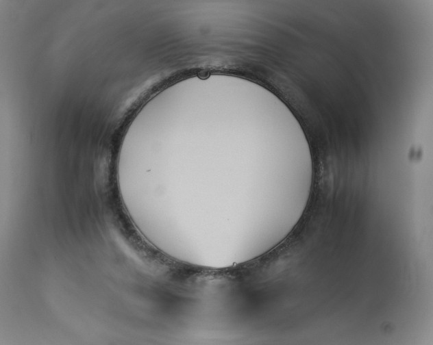 X0000113220208200910011353