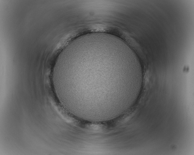 X0000113220209200910011353